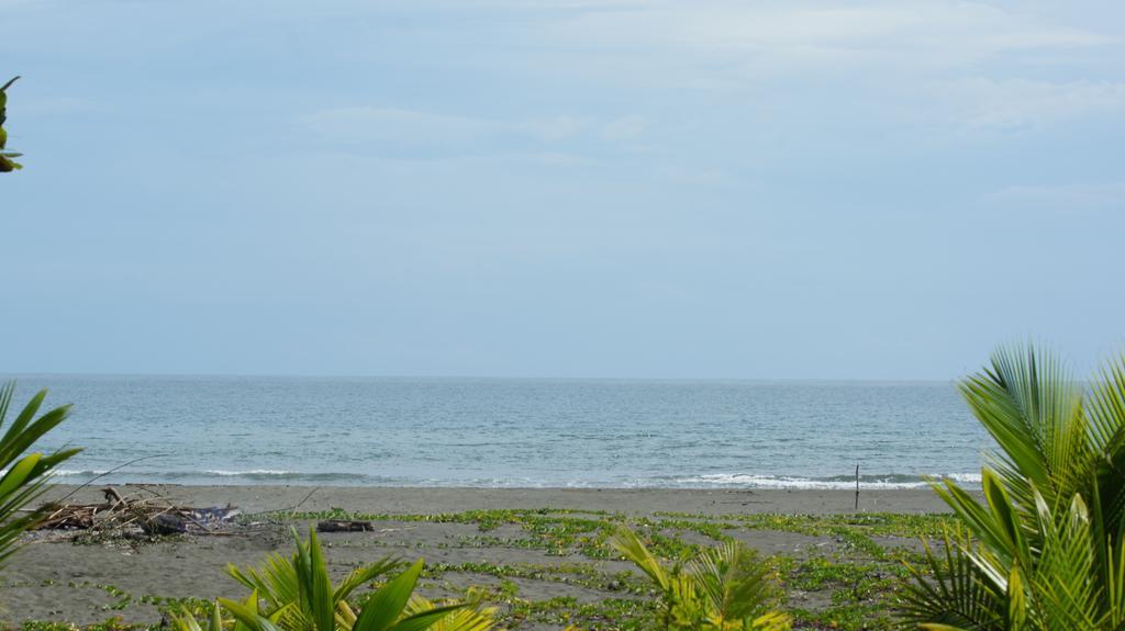 Lirio Lodge Barra de Pacuare Exterior photo