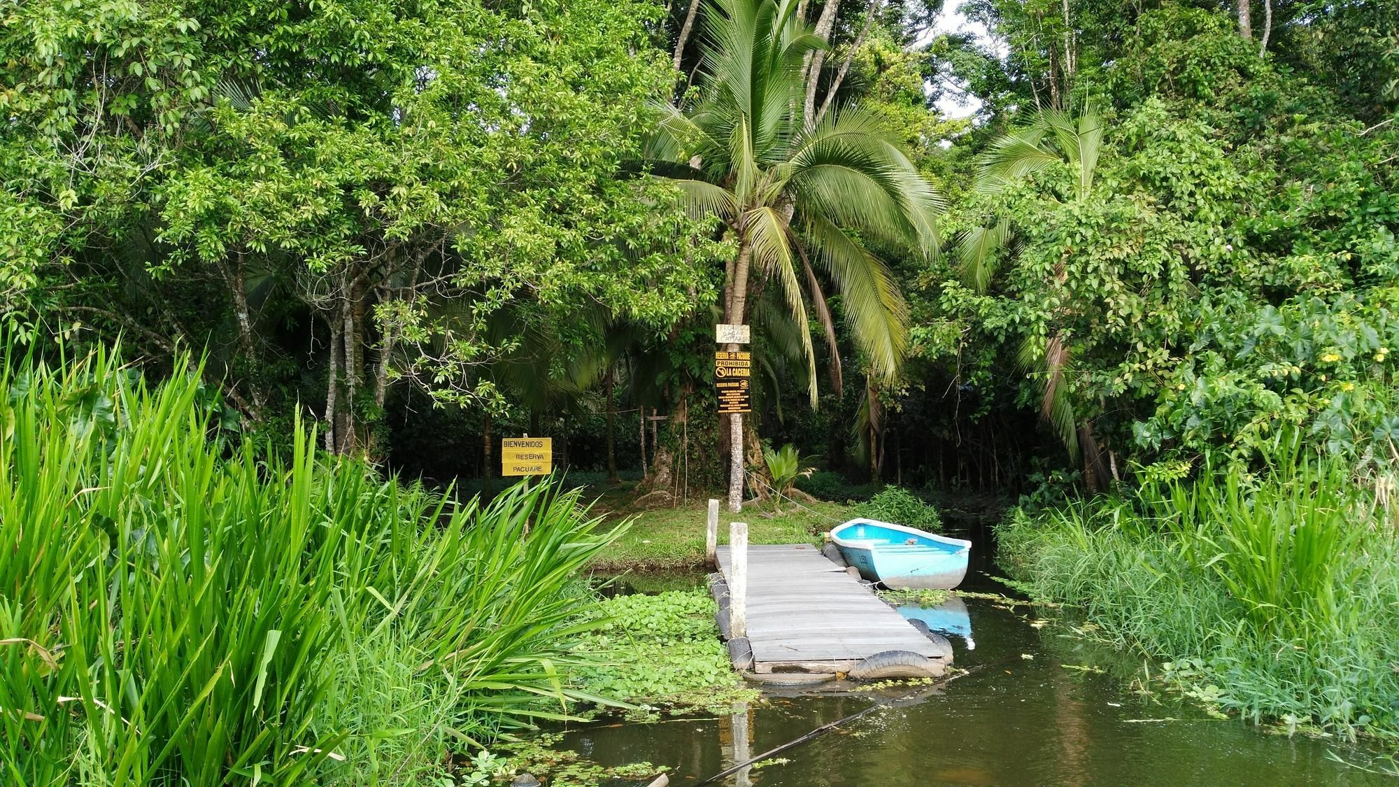 Lirio Lodge Barra de Pacuare Exterior photo