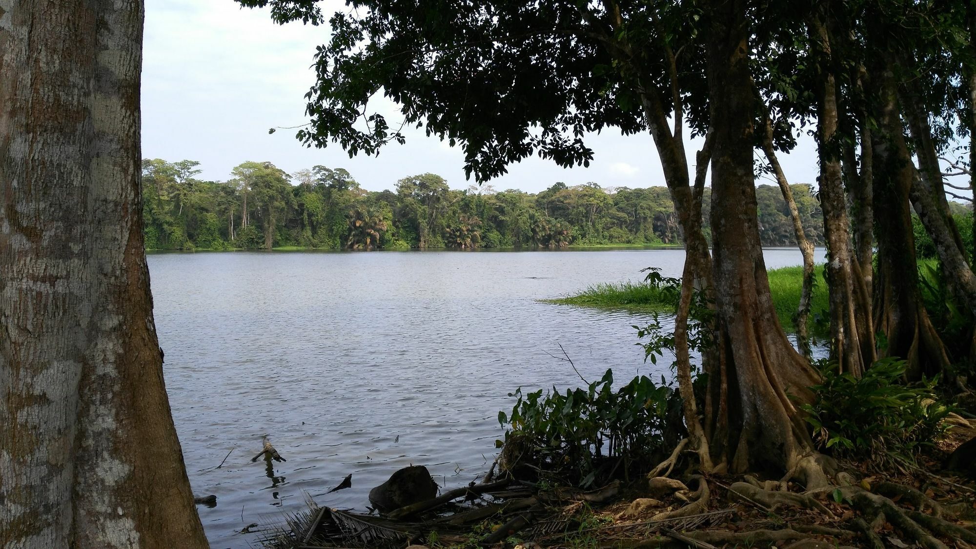 Lirio Lodge Barra de Pacuare Exterior photo