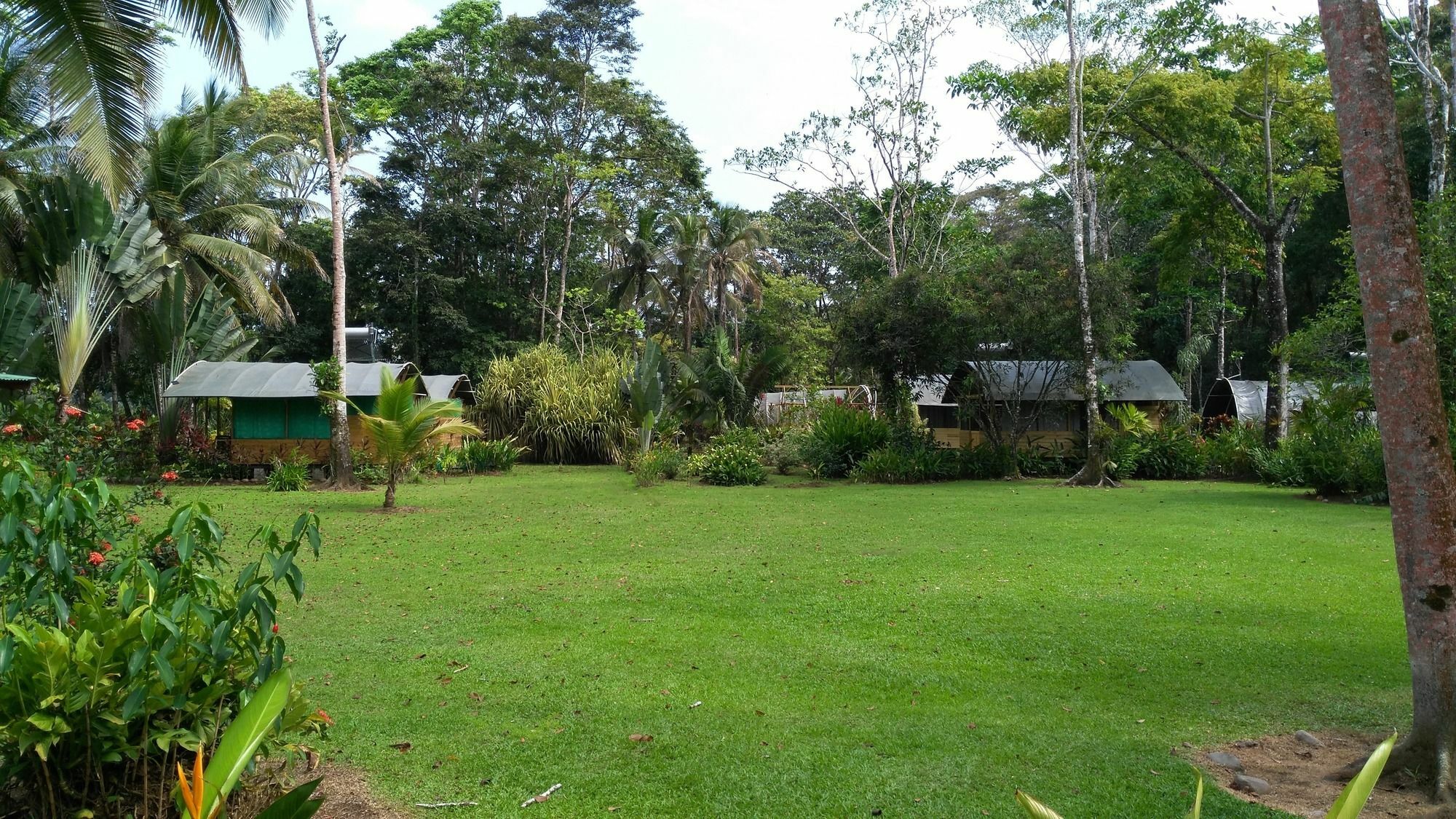 Lirio Lodge Barra de Pacuare Exterior photo