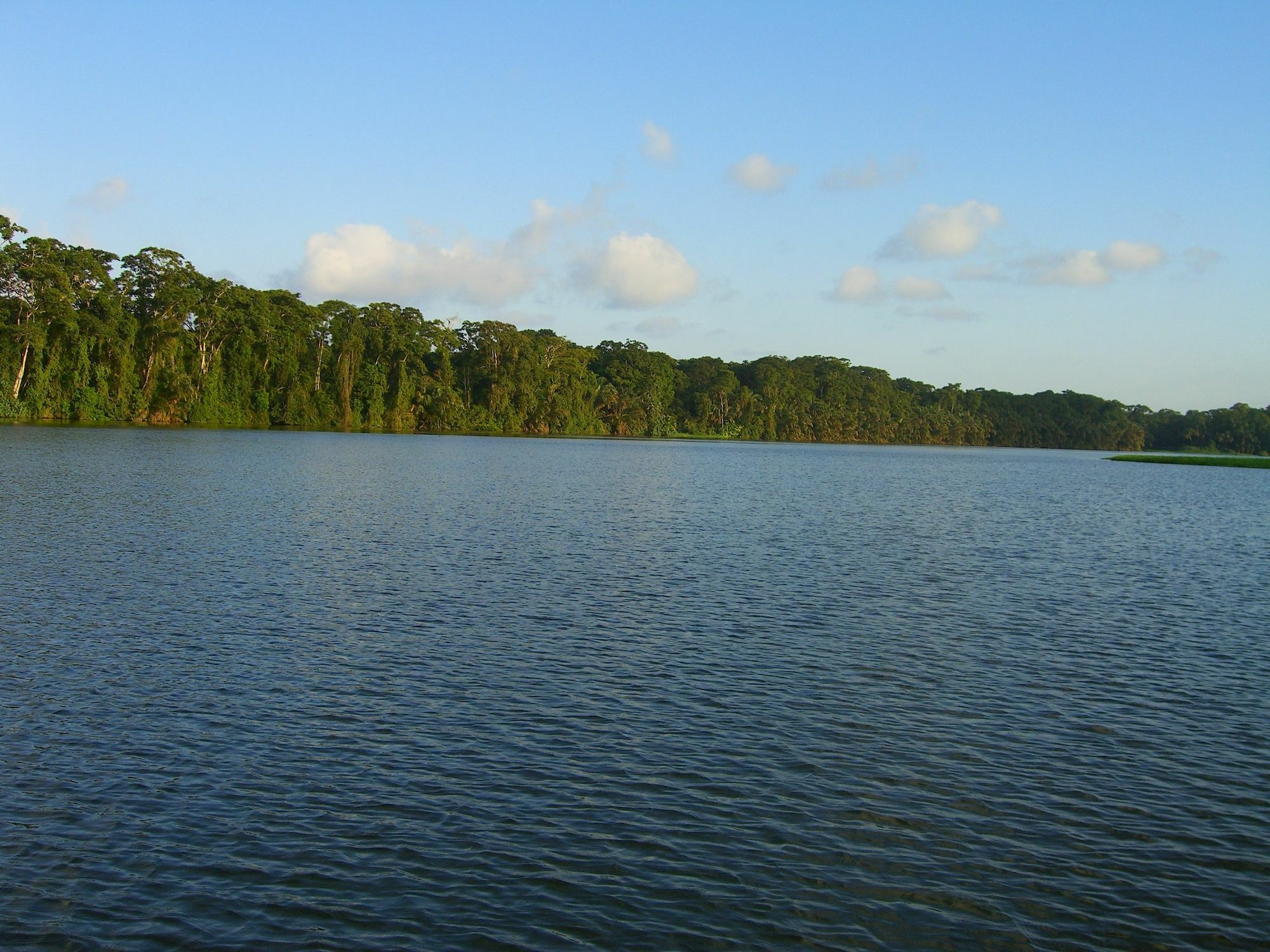Lirio Lodge Barra de Pacuare Exterior photo