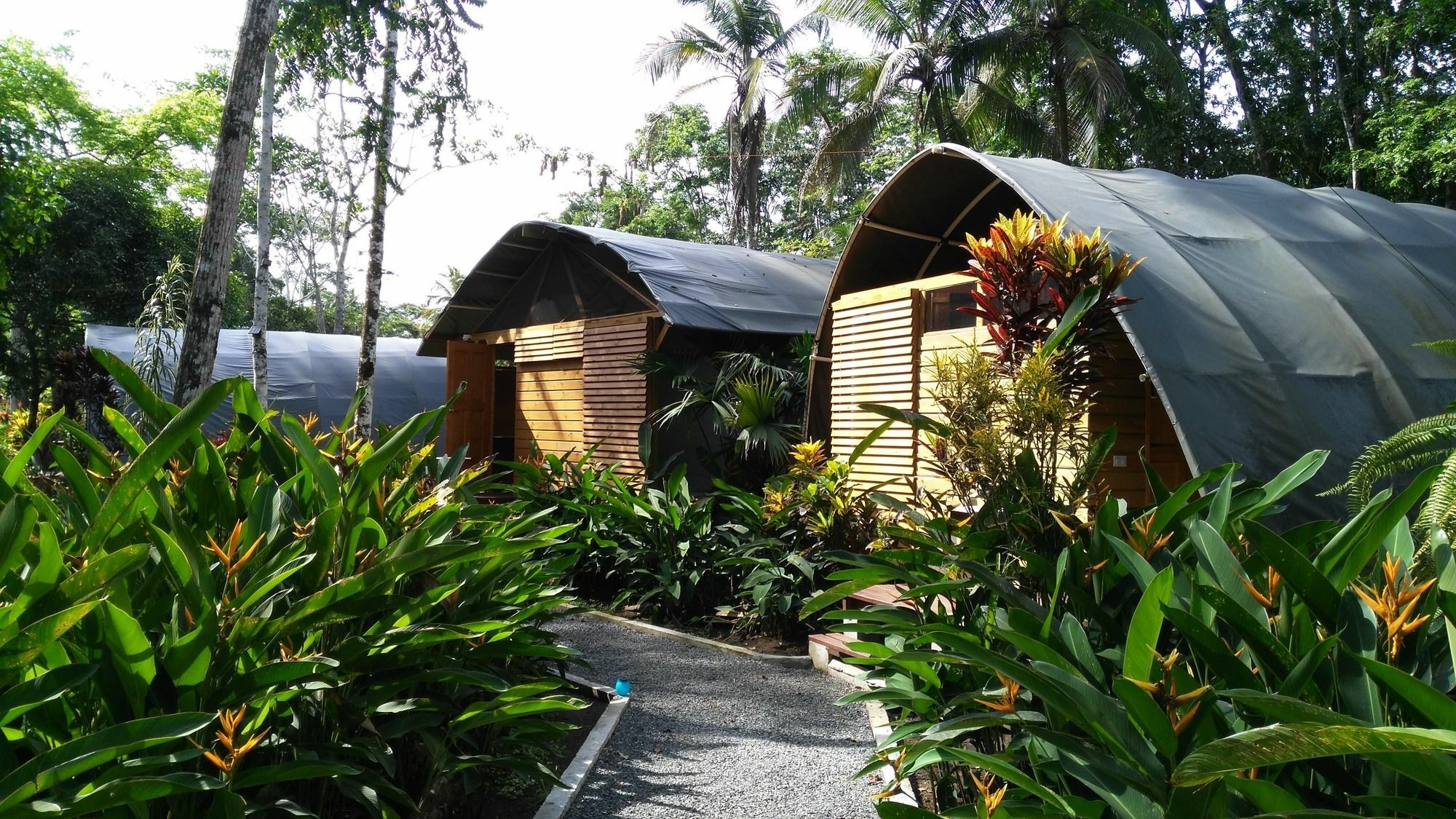 Lirio Lodge Barra de Pacuare Exterior photo