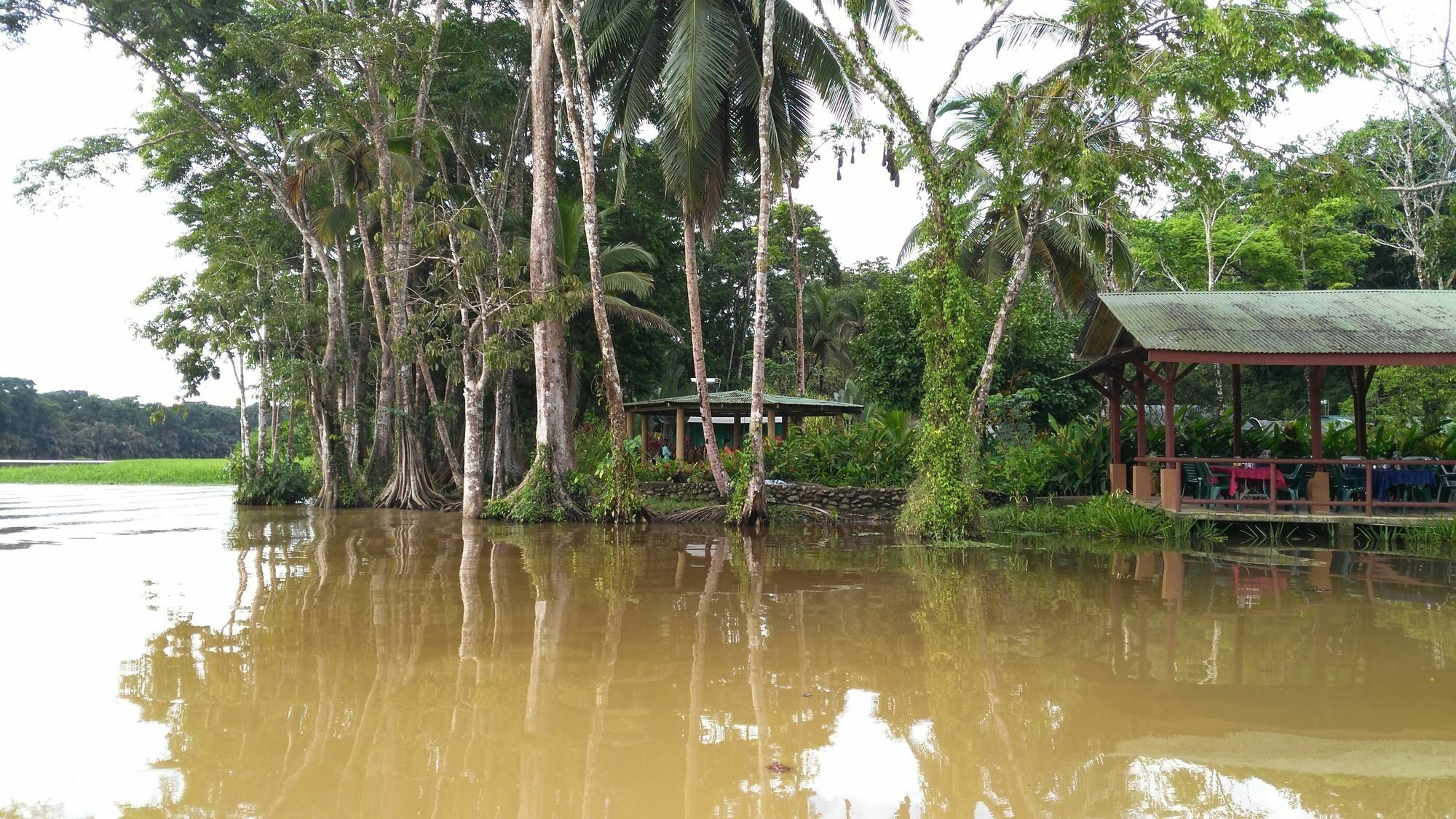 Lirio Lodge Barra de Pacuare Exterior photo